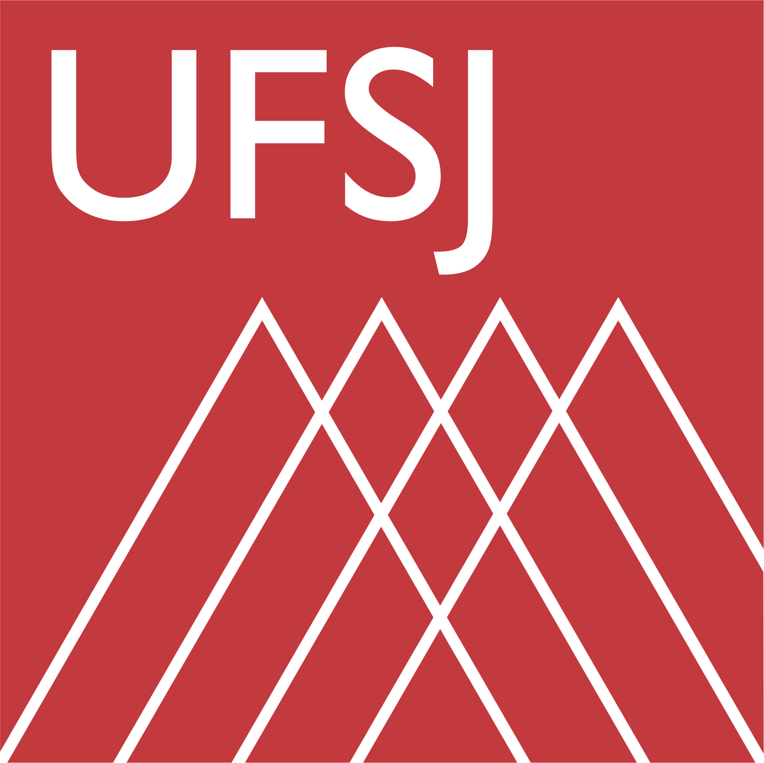 Federal University of São João del-Rei, UFSJ